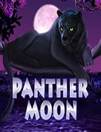 เว็บ พนัน บอล ฟรี เครดิต: สูตรการเล่นที่ควรรู้