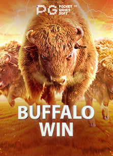 วิธีทดลอง เล่น เกม ค่าย pp และฟีเจอร์เด็ดที่ควรรู้